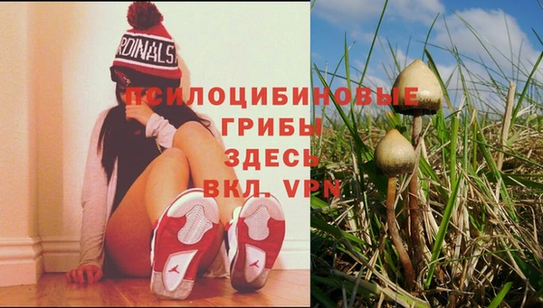 гидропоника Навашино