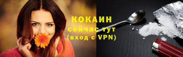 мдпв Надым