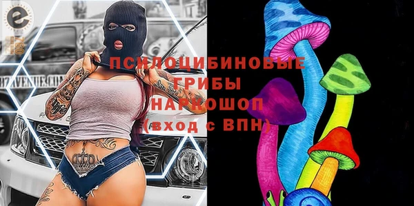 мдпв Надым