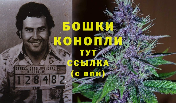 прущие грибы Нея