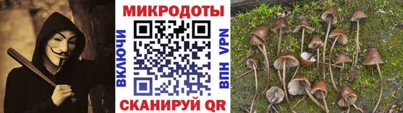 Галлюциногенные грибы Psilocybe  darknet формула  Лыткарино 