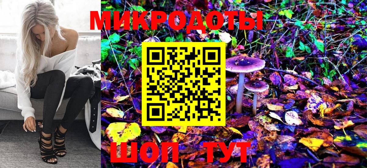 Галлюциногенные грибы Magic Shrooms  Галлюциногенные грибы Psilocybine cubensis  Лыткарино 