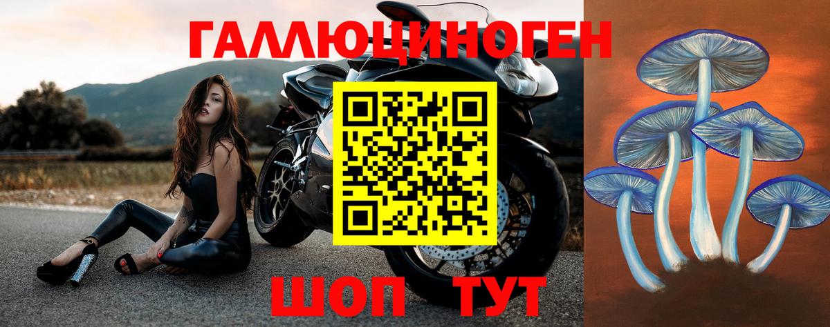 Псилоцибиновые грибы Magic Shrooms  Вход с VPN  Псилоцибиновые грибы Psilocybe  Лыткарино 